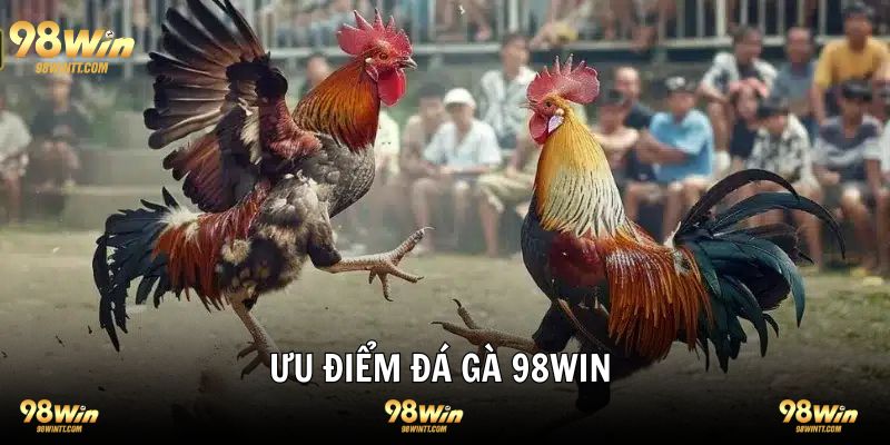 Ưu điểm tạo tên tuổi 98WIN đá gà 